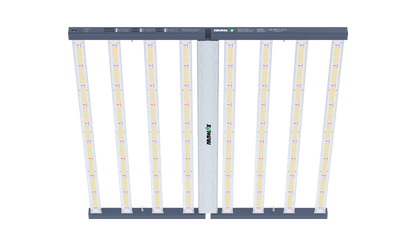 LED SN-Serie 