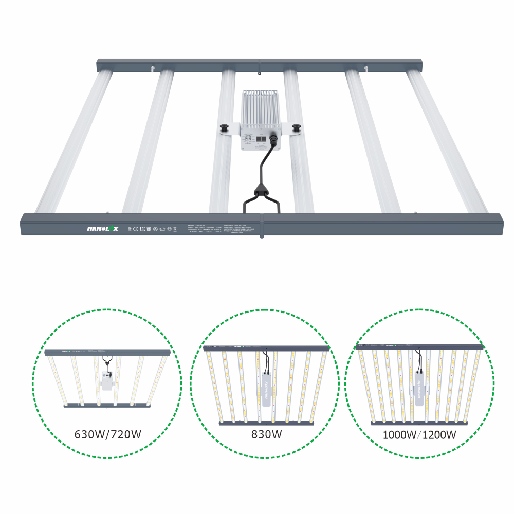 LED ZX-Serie